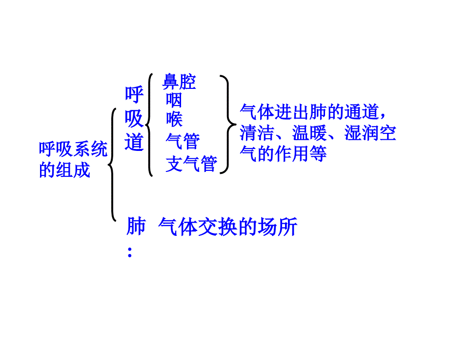 人体的呼吸复习课件必用_第3页