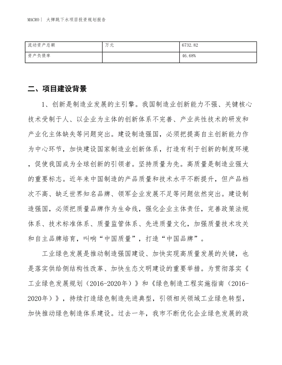 大弹跳下水项目投资规划报告_第3页