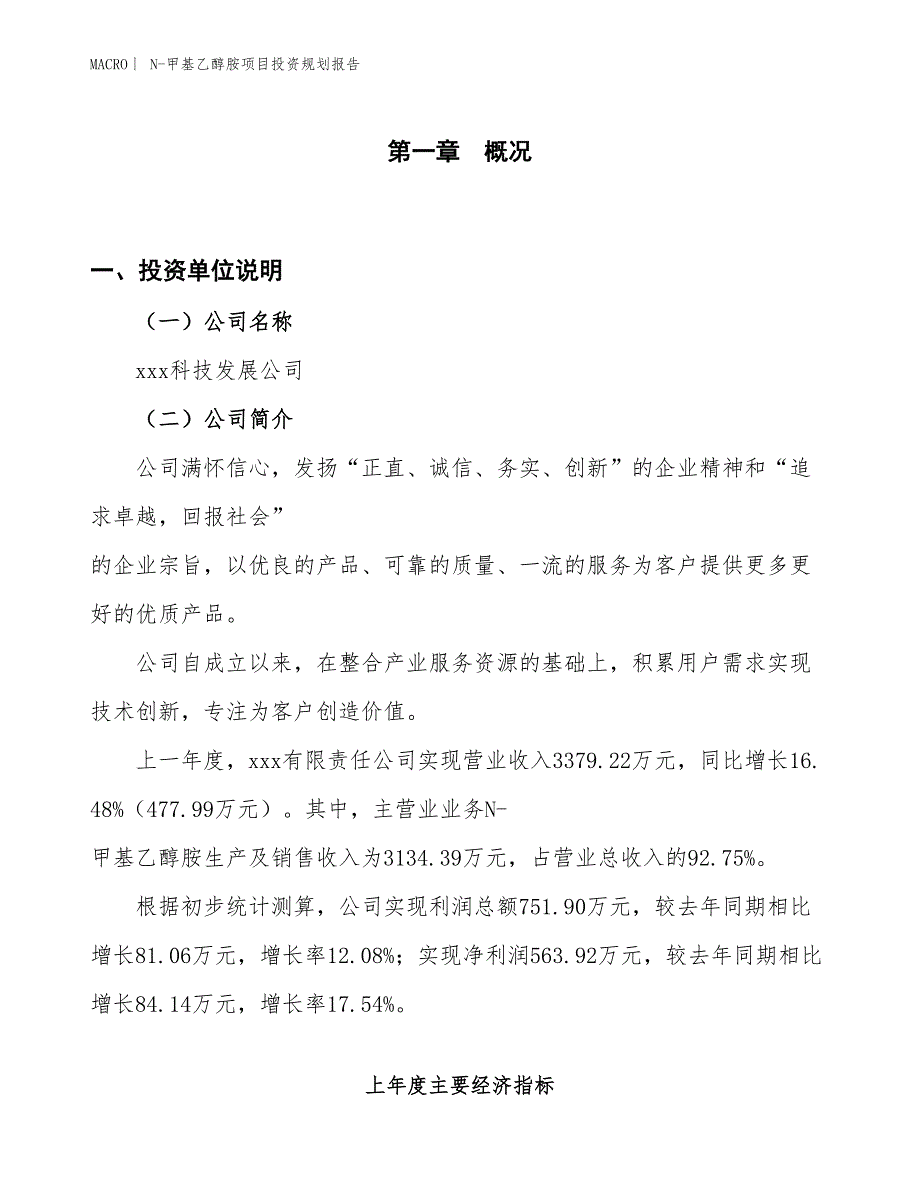 N-甲基乙醇胺项目投资规划报告_第1页