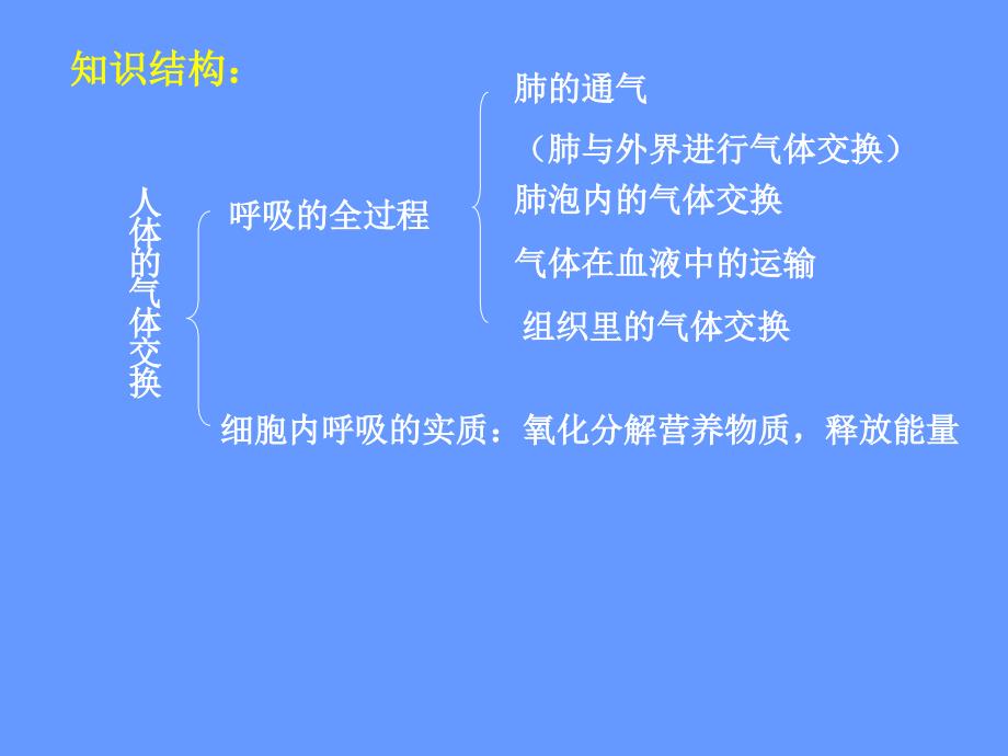 发生在肺内的气体交换_10_第2页