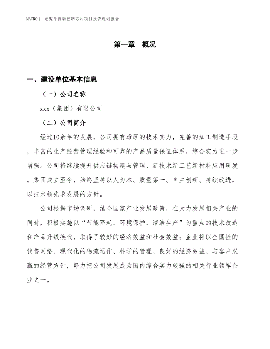 电熨斗自动控制芯片项目投资规划报告_第1页