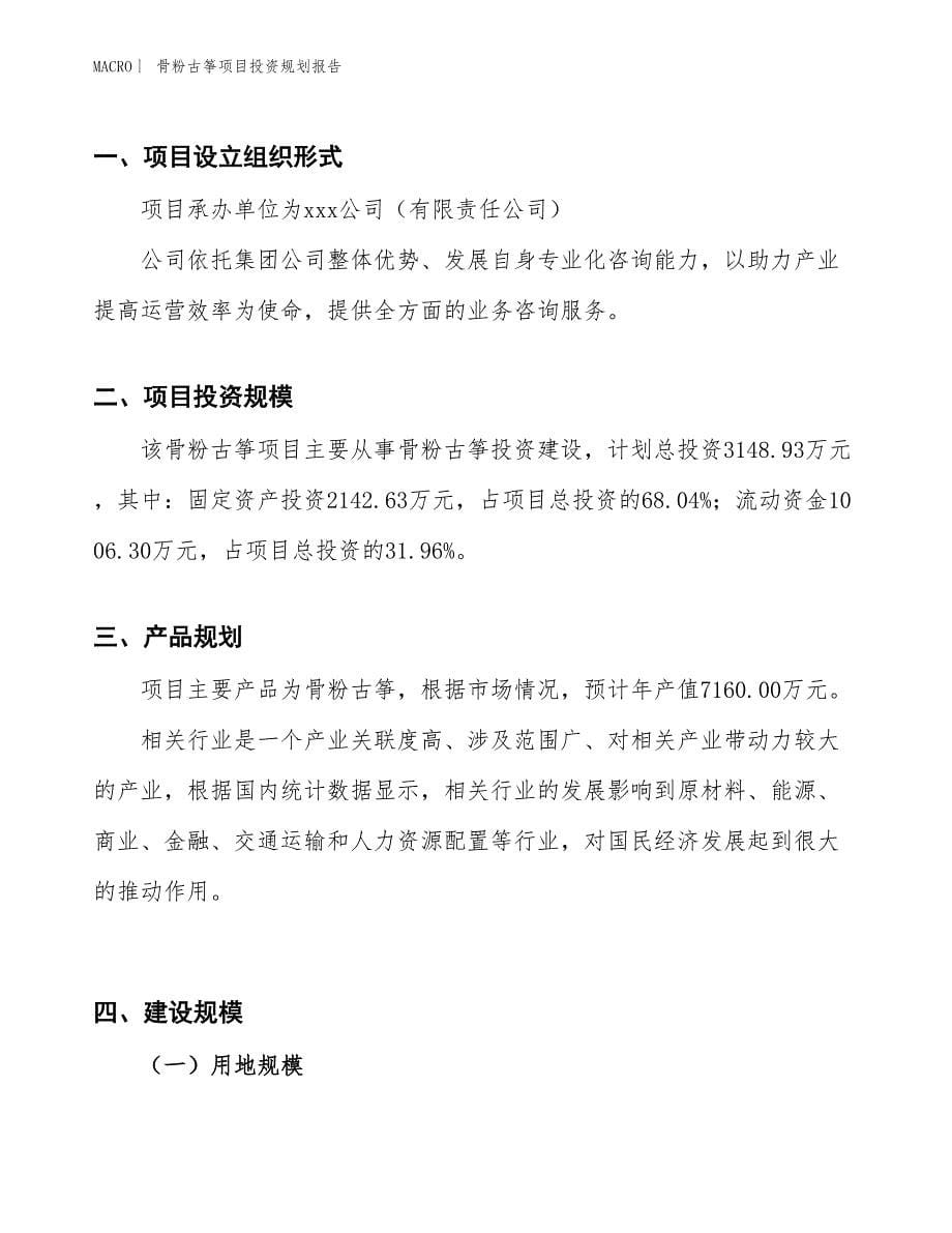 骨粉古筝项目投资规划报告_第5页