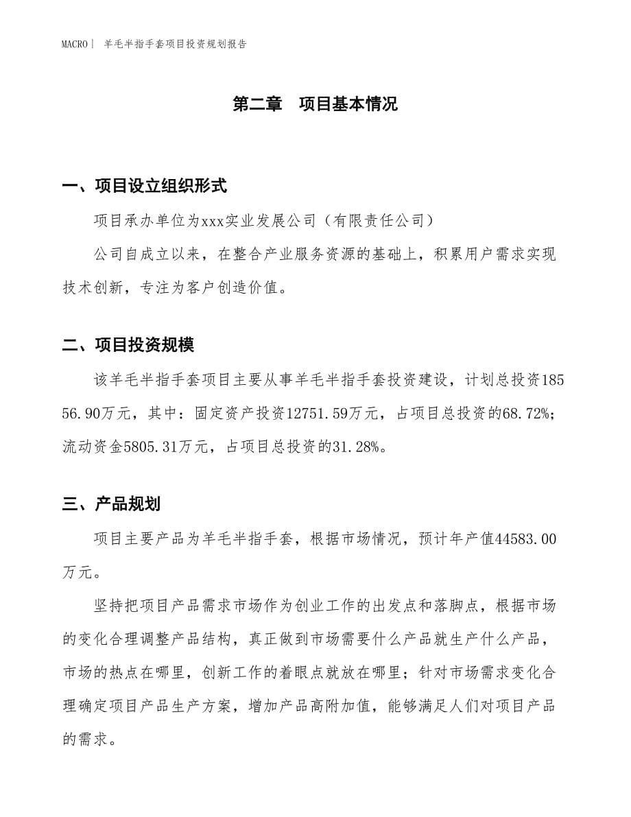 羊毛半指手套项目投资规划报告_第5页