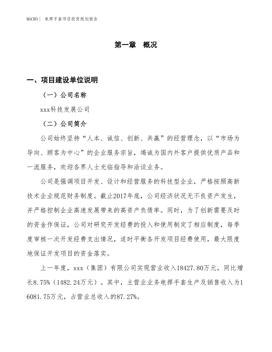 电捍手套项目投资规划报告_第1页