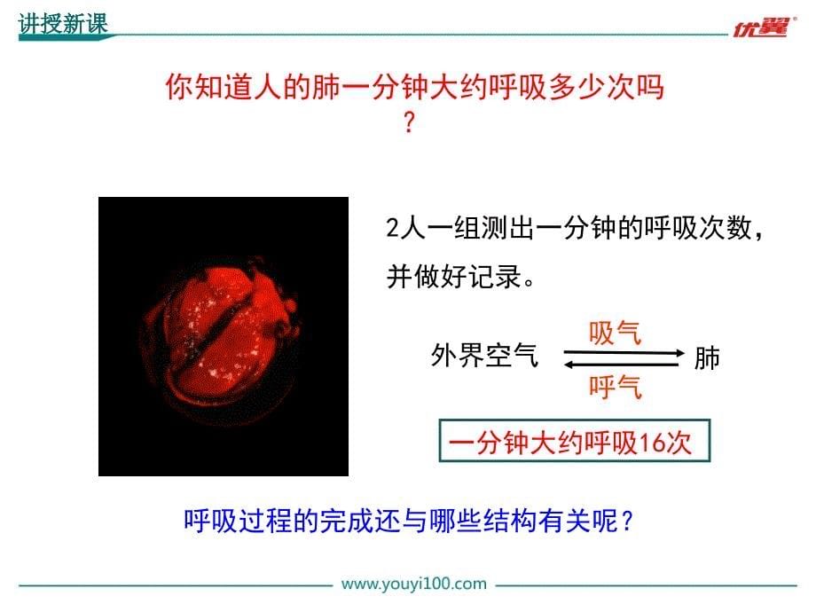 发生在肺内的气体交换_28_第5页