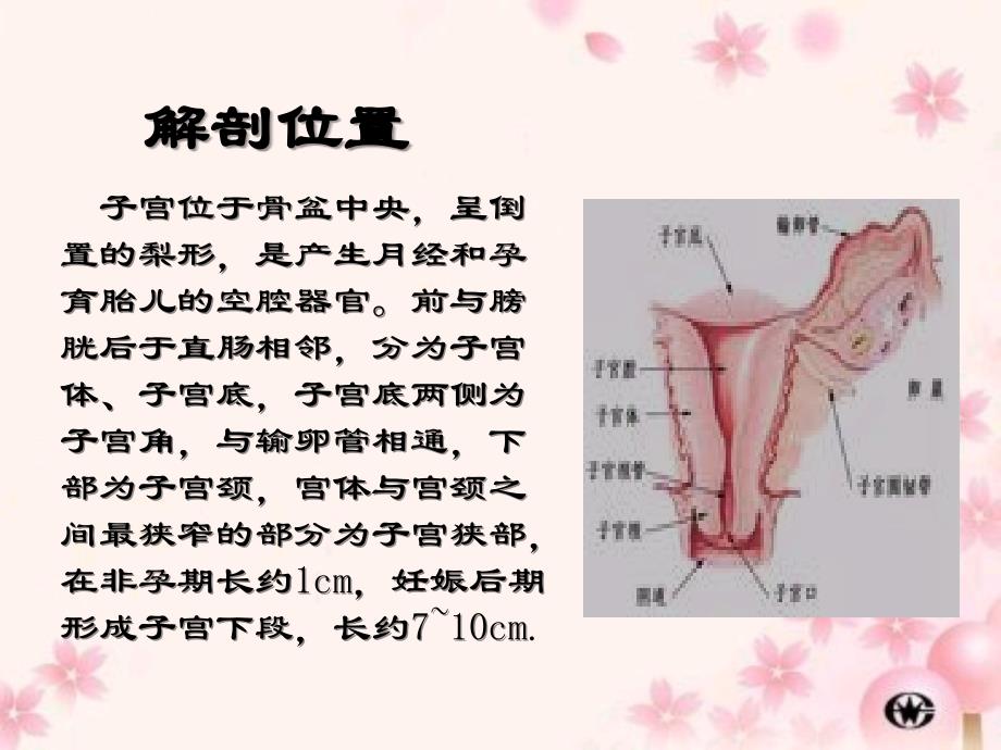 剖宫产术的配合详解_第4页