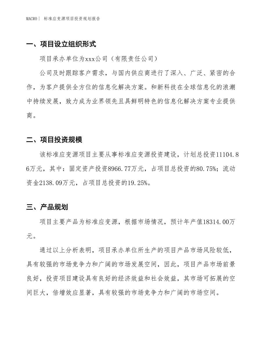 标准应变源项目投资规划报告_第5页