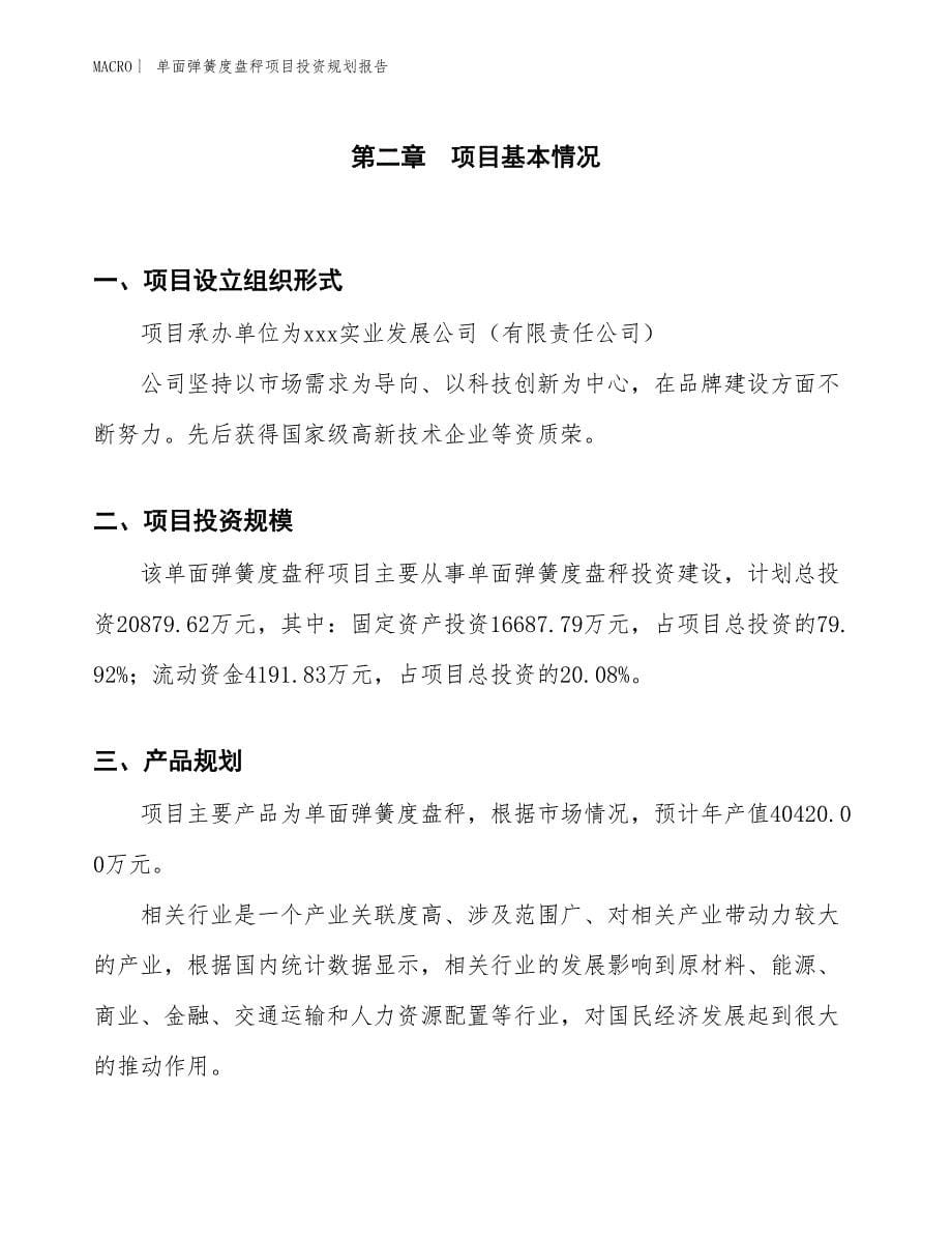 单面弹簧度盘秤项目投资规划报告_第5页