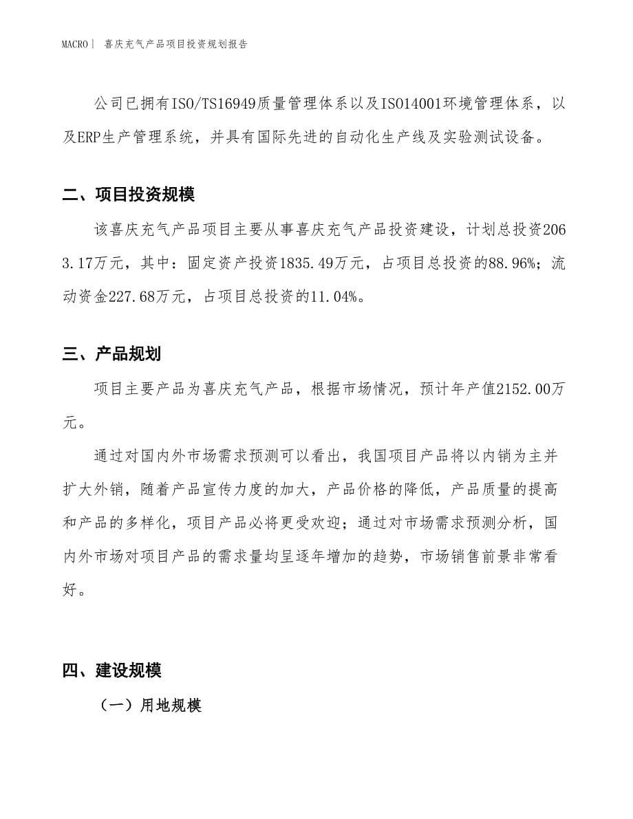 喜庆充气产品项目投资规划报告_第5页