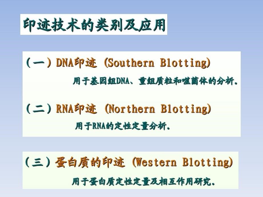 分子生物学2015年硕士_第5页