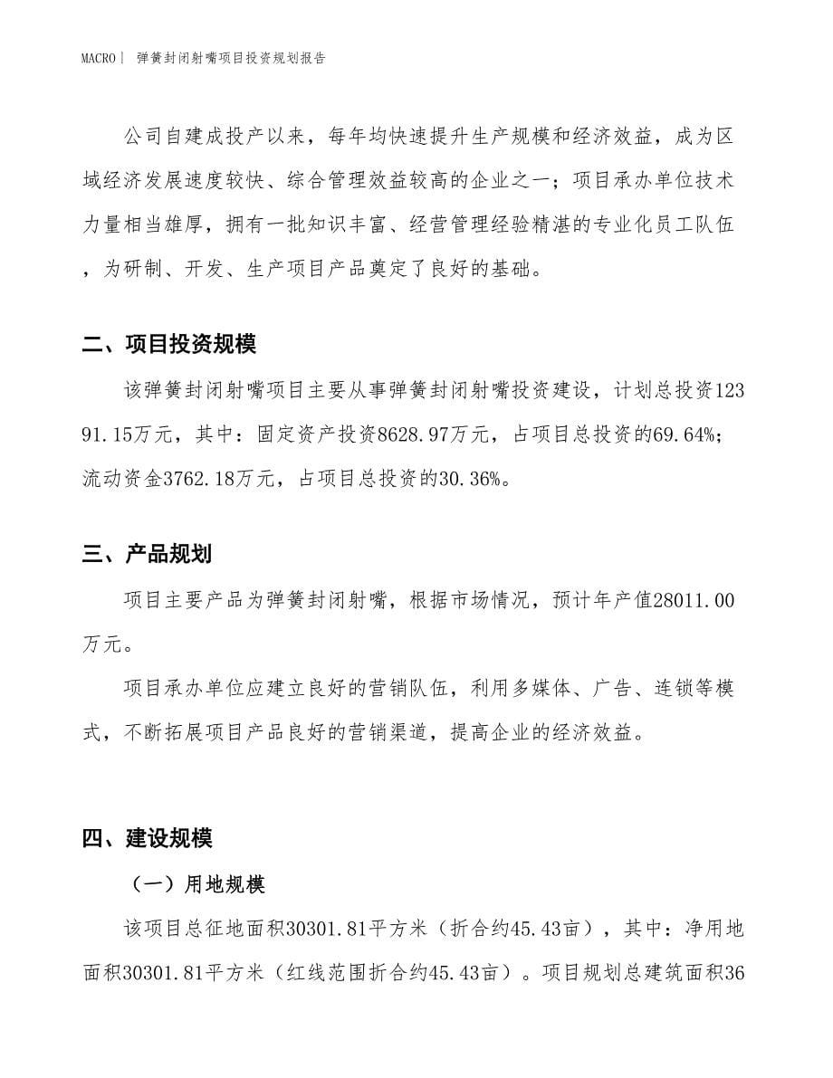 弹簧封闭射嘴项目投资规划报告_第5页