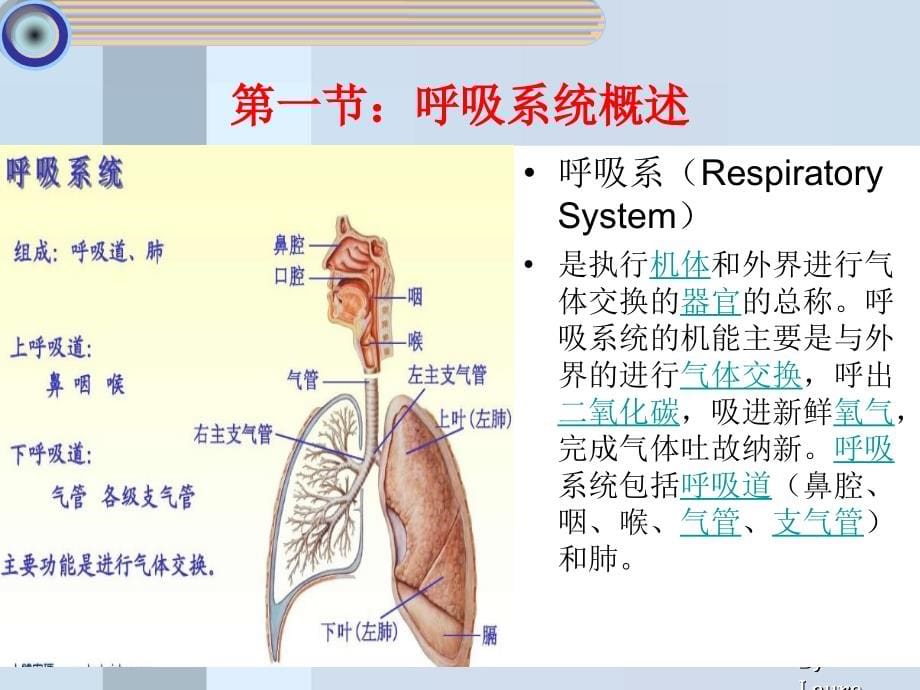 2014呼吸系统疾病_第5页