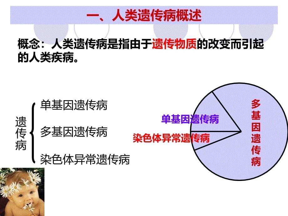 人教版《人类遗传病》上课用课件详解_第5页