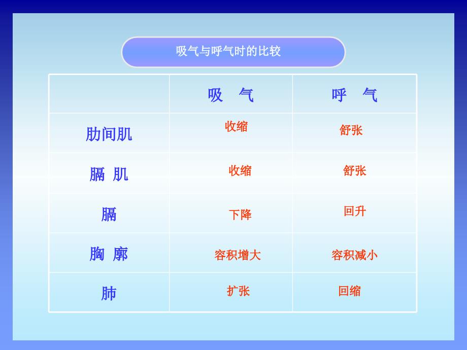 发生在肺内的气体交换_37_第1页