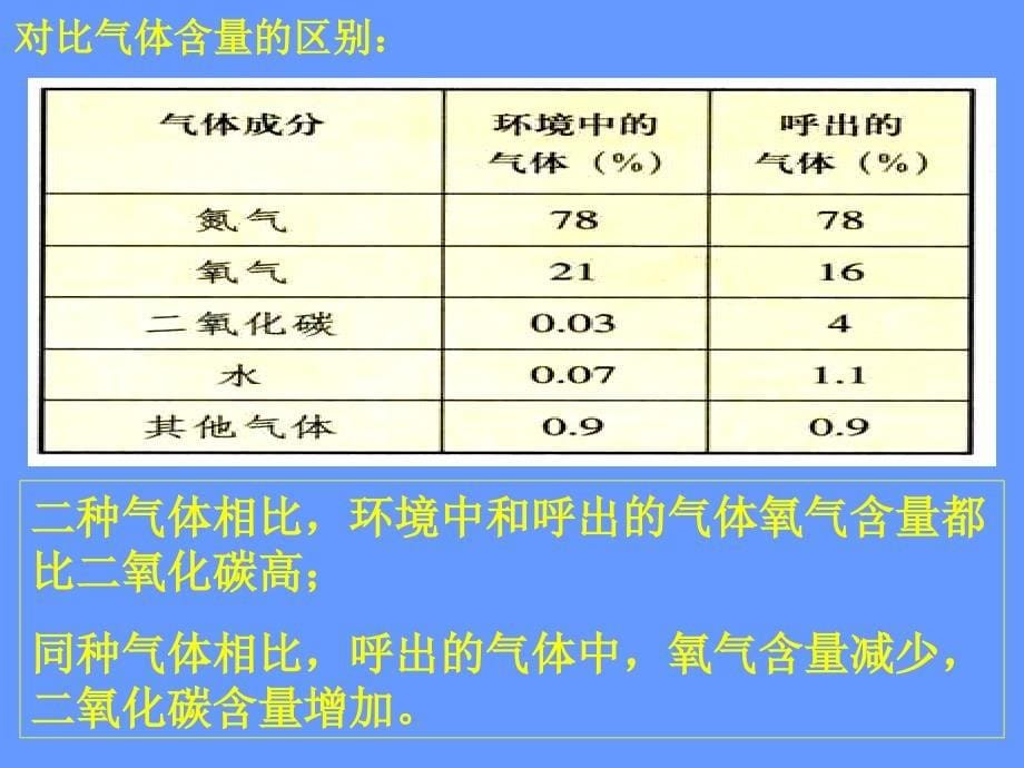 发生在肺内的气体交换_37_第5页