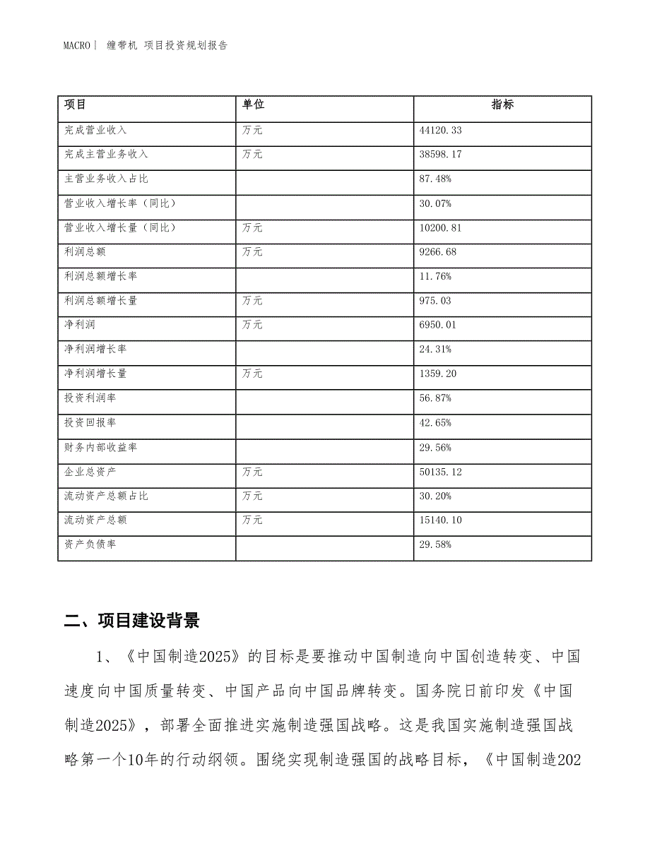 缠带机 项目投资规划报告_第2页