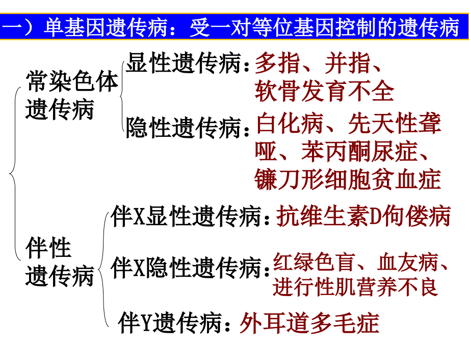 人教版生物必修二5.3-人类遗传病-课件-(共39张ppt)_第3页