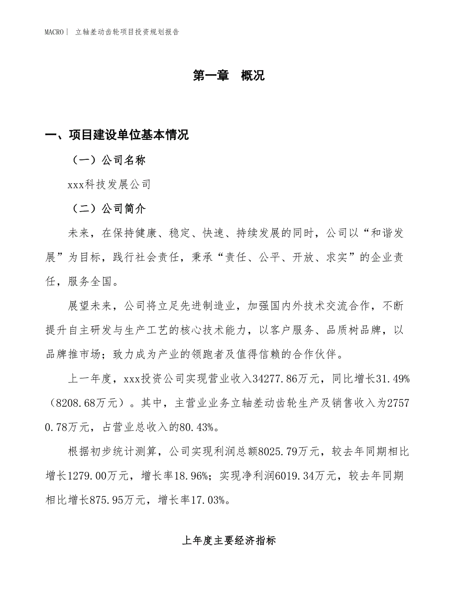 立轴差动齿轮项目投资规划报告_第1页