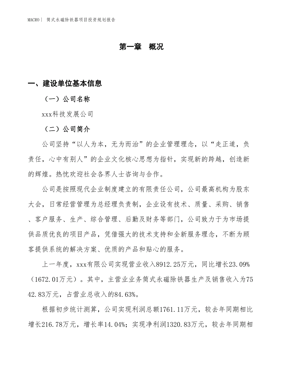 筒式永磁除铁器项目投资规划报告_第1页