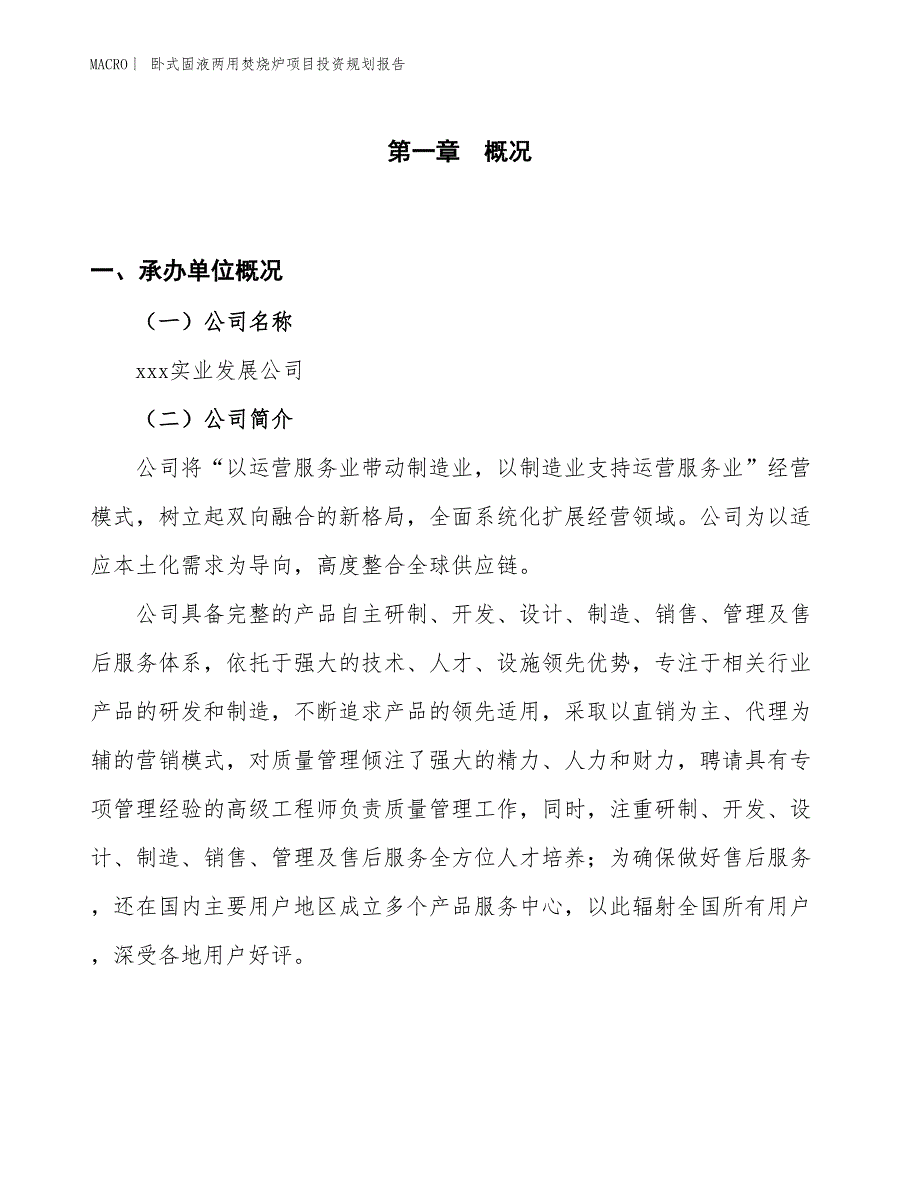 卧式固液两用焚烧炉项目投资规划报告_第1页