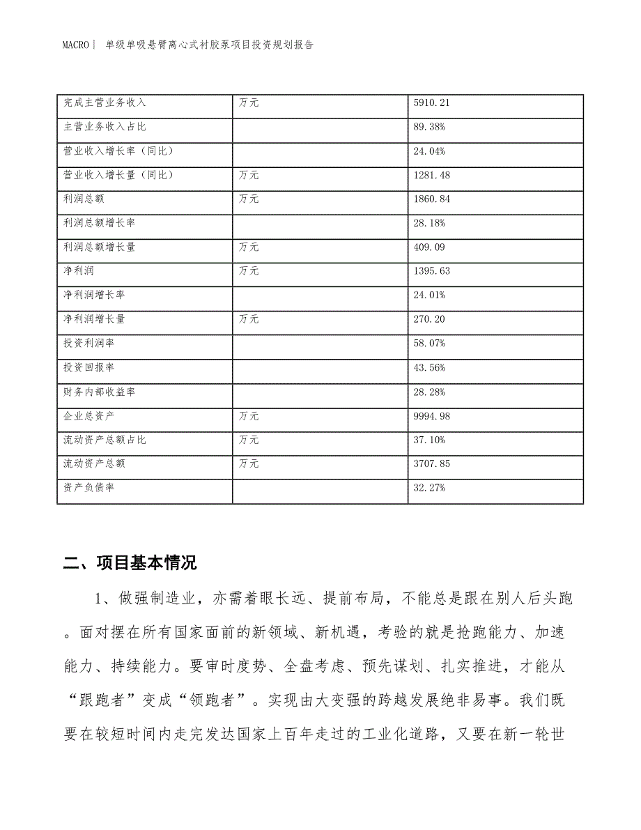 单级单吸悬臂离心式衬胶泵项目投资规划报告_第2页