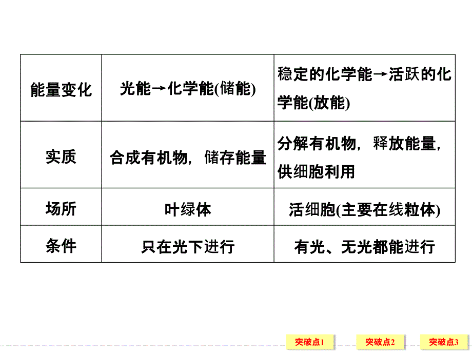 光合作用的影响因素及应用概要_第2页