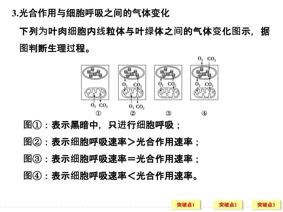 光合作用的影响因素及应用概要_第5页