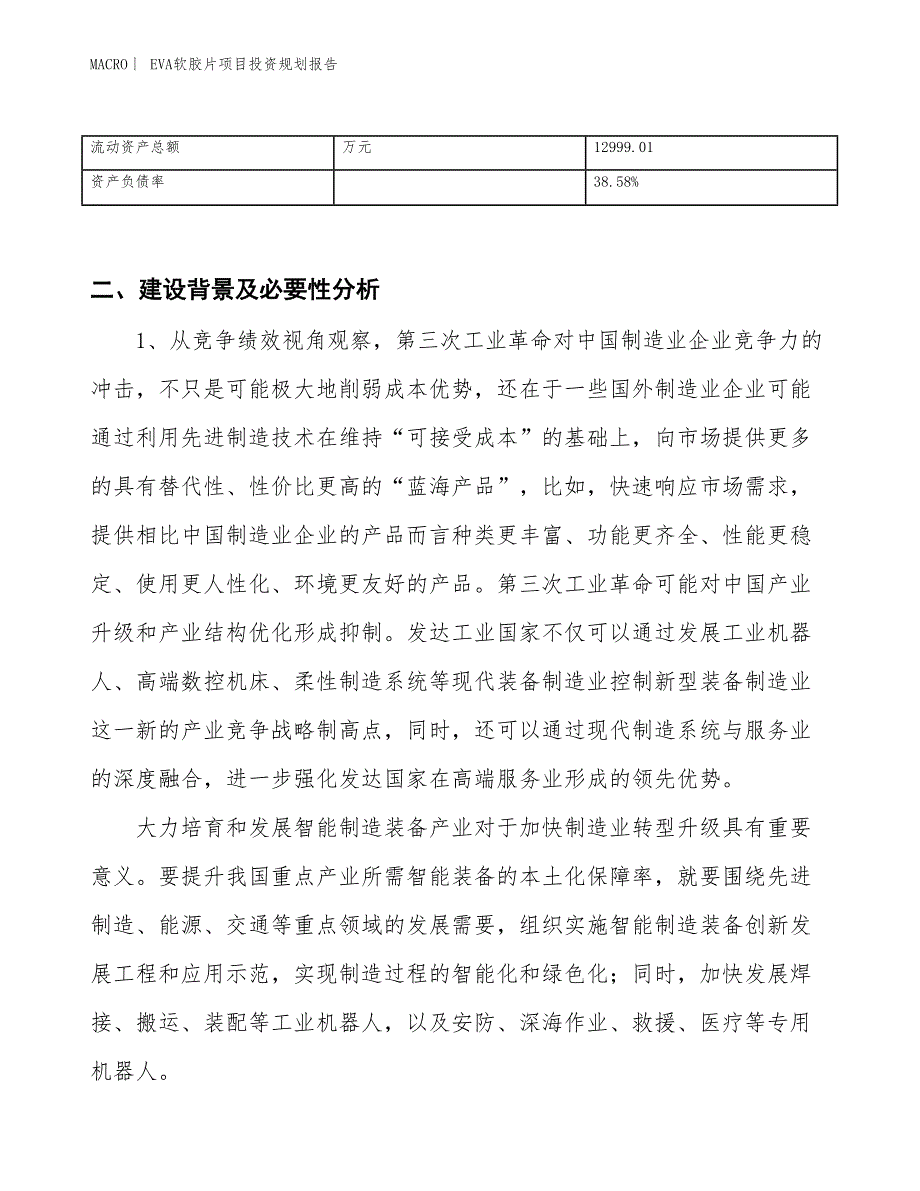 EVA软胶片项目投资规划报告_第3页