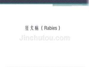 传染病学狂犬病(Rabies)