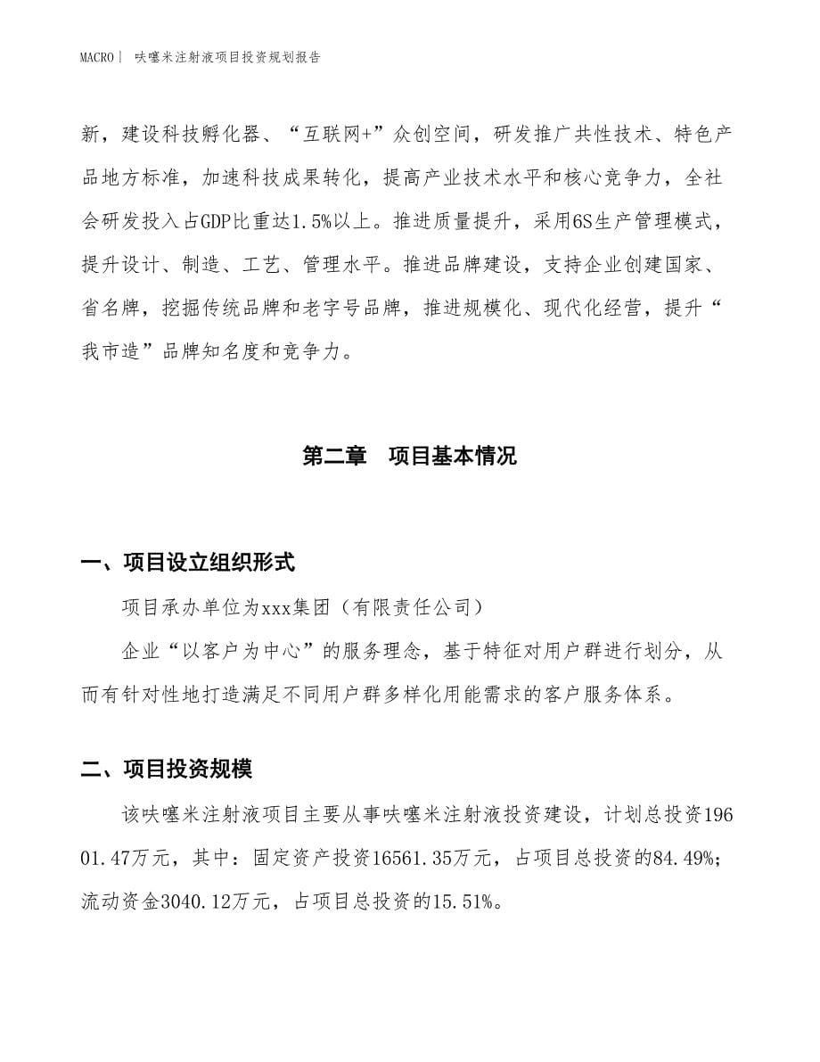 呋噻米注射液项目投资规划报告_第5页