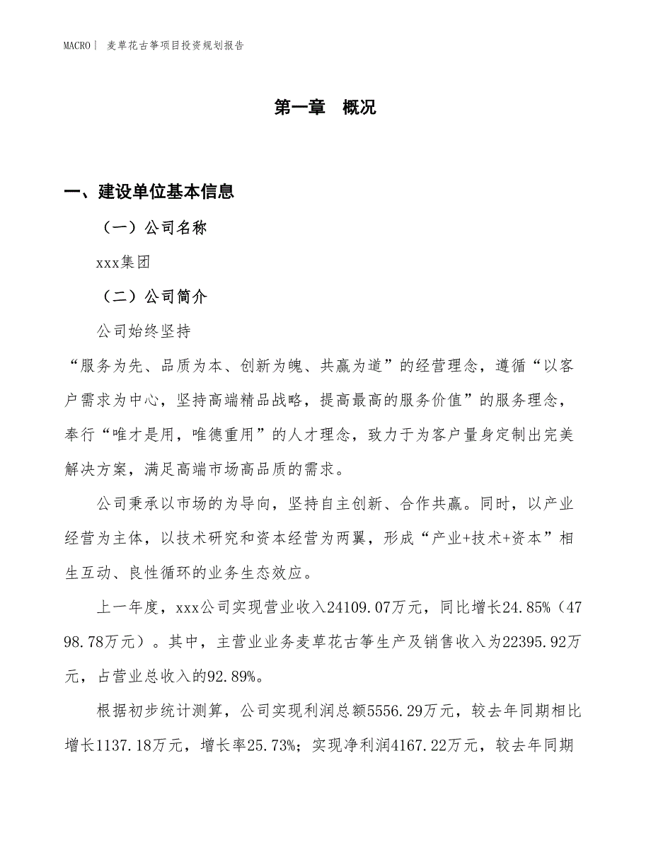 麦草花古筝项目投资规划报告_第1页