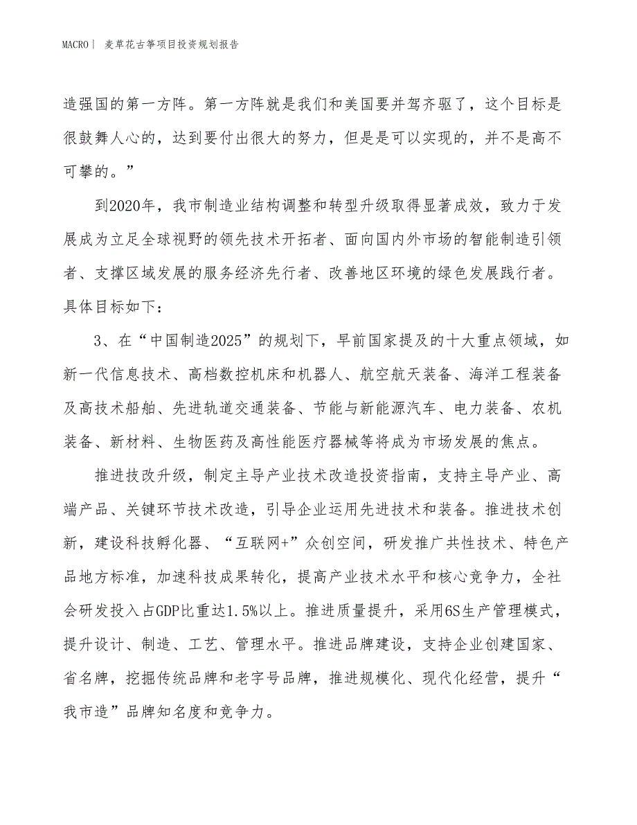 麦草花古筝项目投资规划报告_第4页