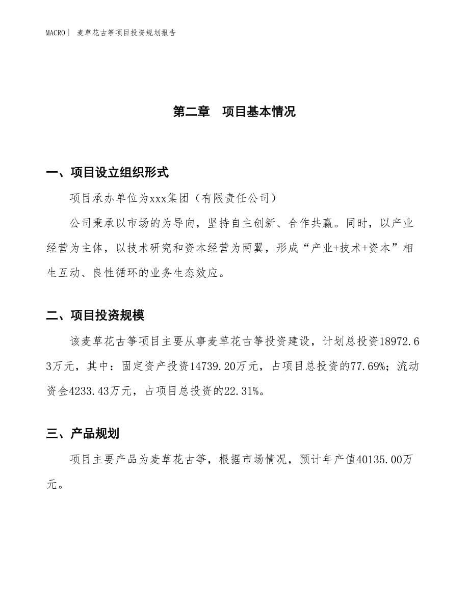 麦草花古筝项目投资规划报告_第5页