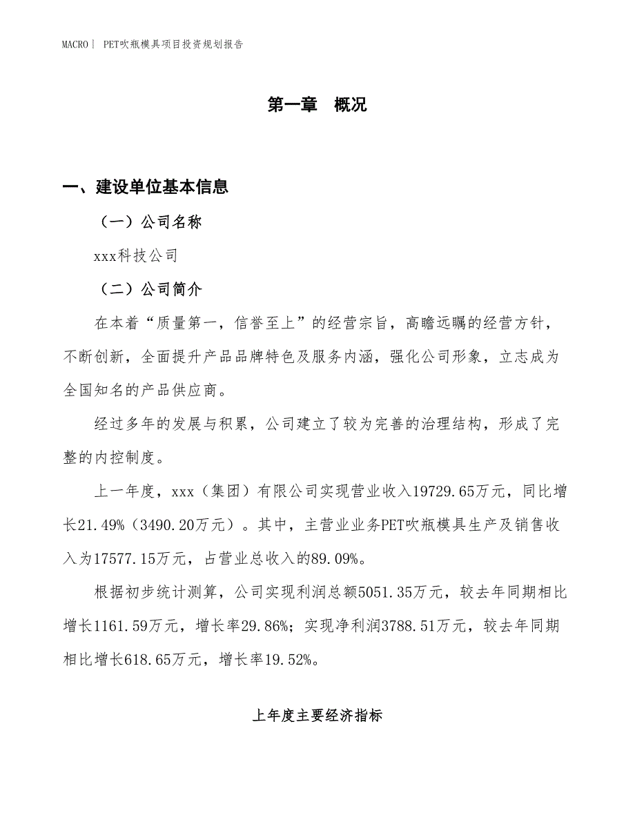 PET吹瓶模具项目投资规划报告_第1页