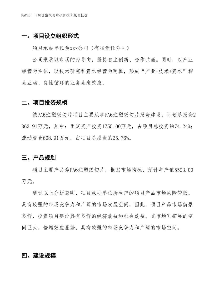 PA6注塑级切片项目投资规划报告_第5页