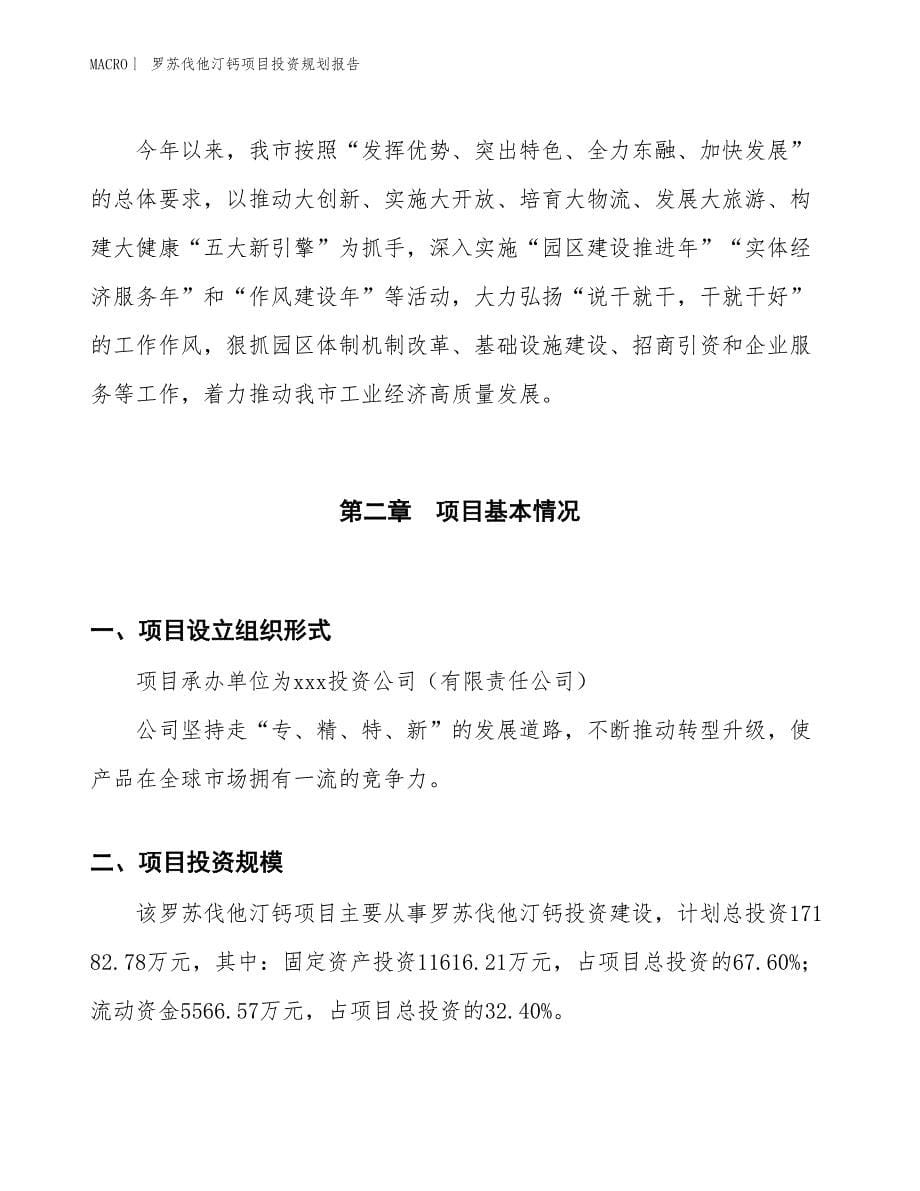 罗苏伐他汀钙项目投资规划报告_第5页