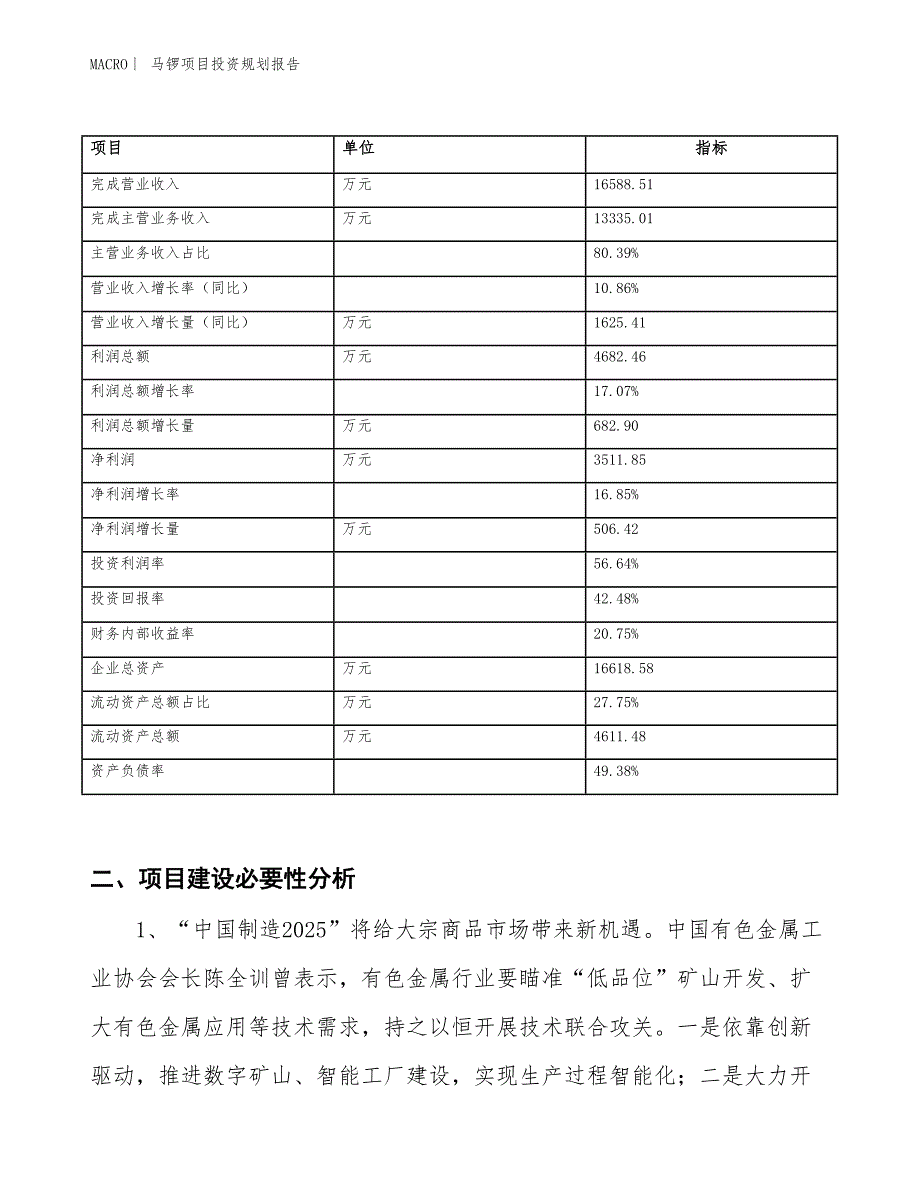 马锣项目投资规划报告_第2页