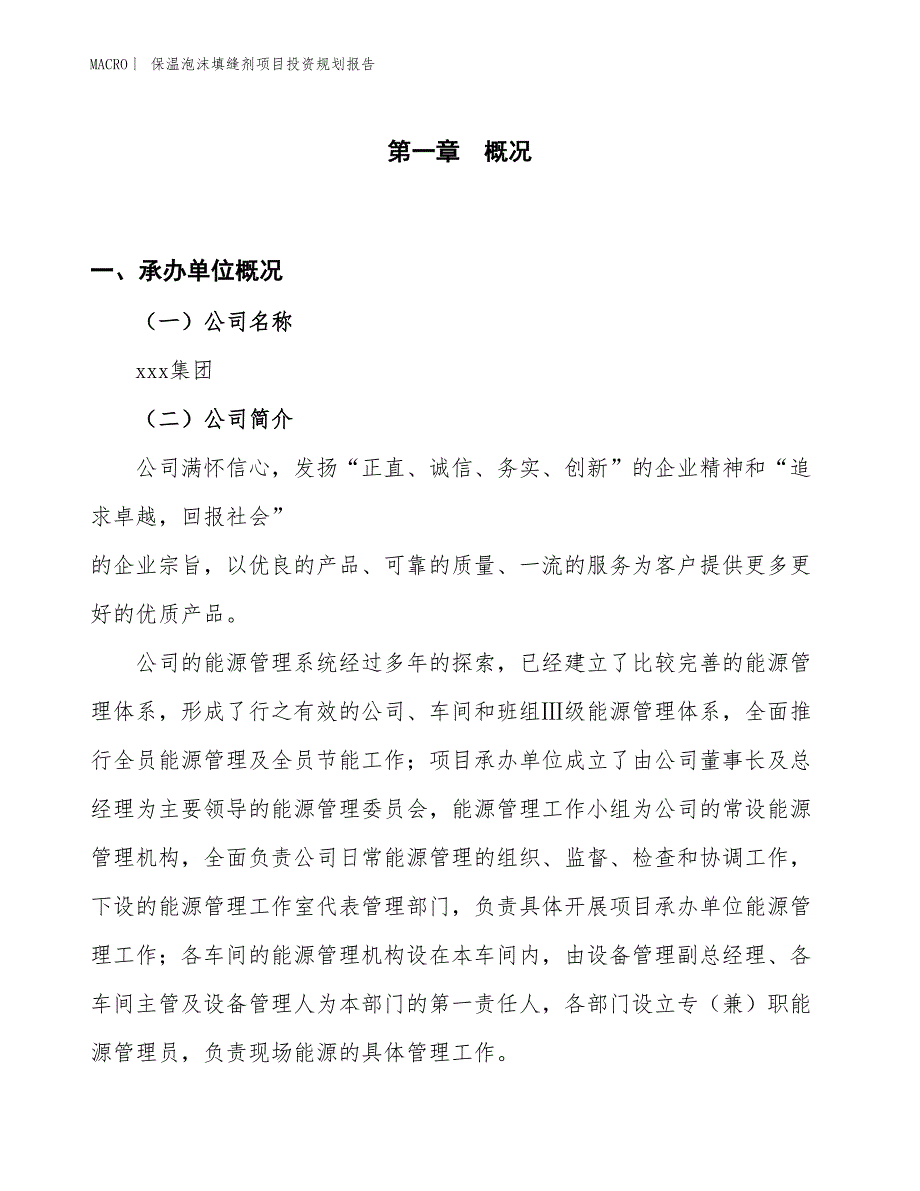 保温泡沫填缝剂项目投资规划报告_第1页