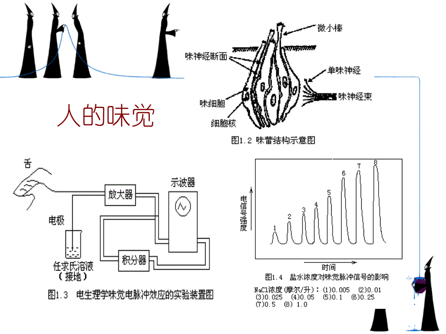 化学传感器._第4页