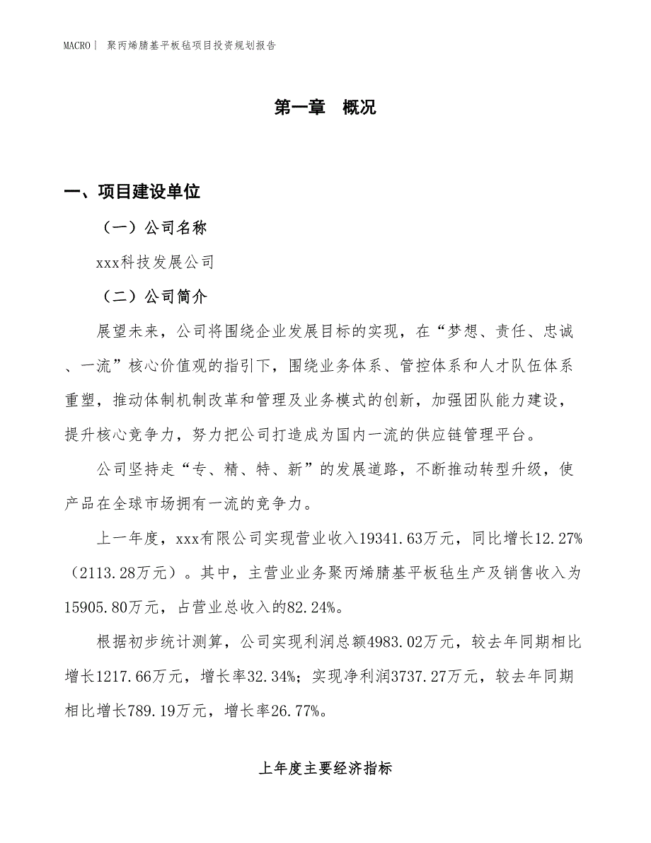 聚丙烯腈基平板毡项目投资规划报告_第1页