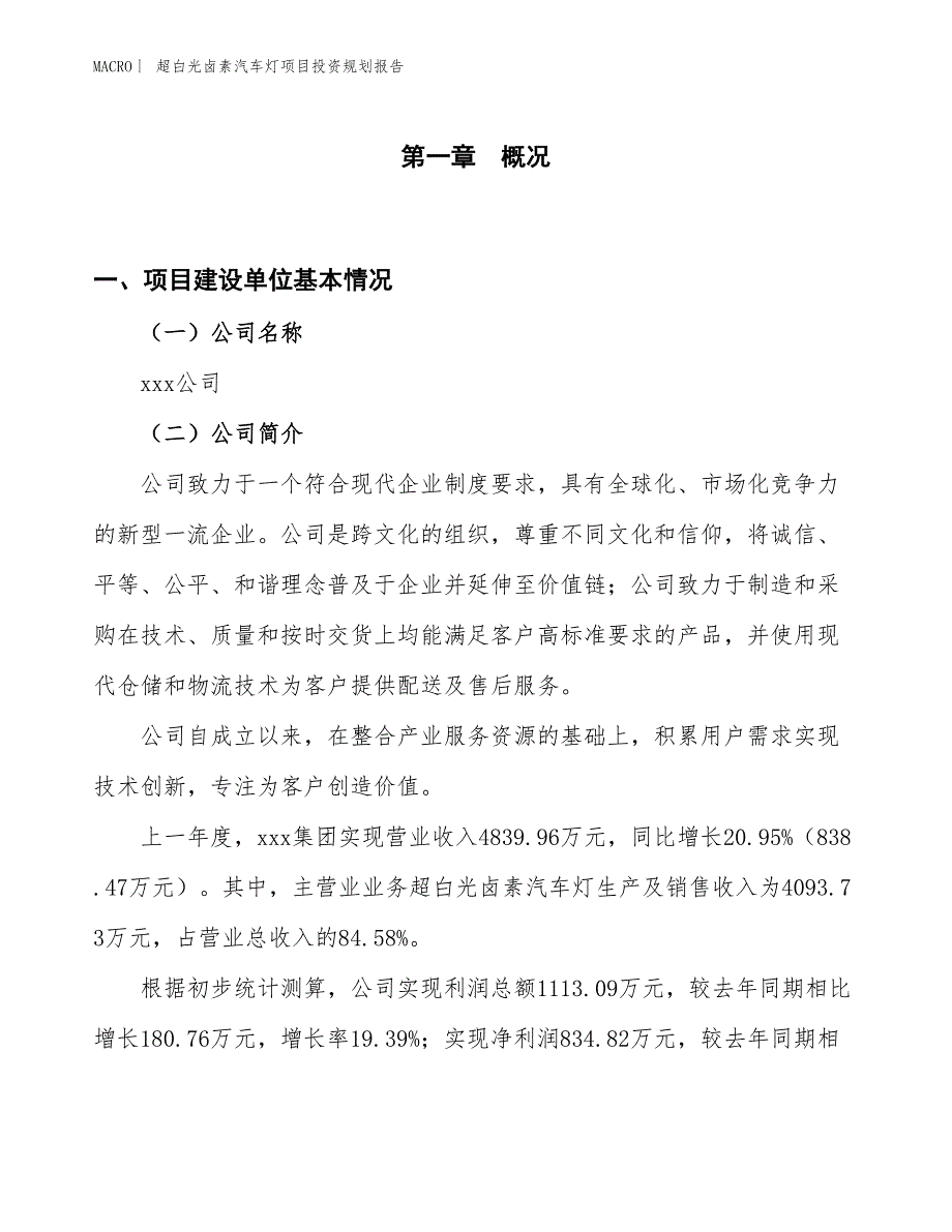 超白光卤素汽车灯项目投资规划报告_第1页