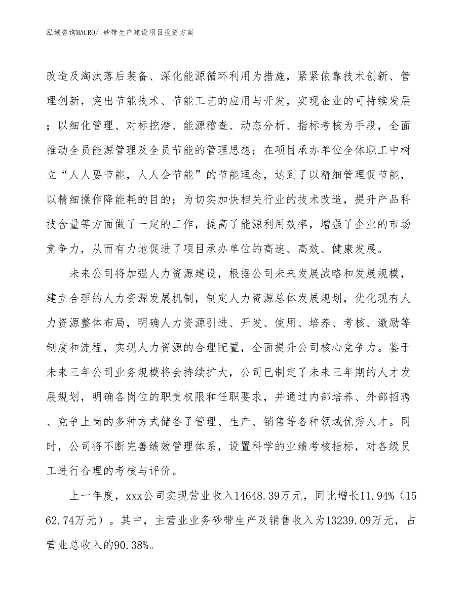 （项目申请）砂带生产建设项目投资方案_第2页