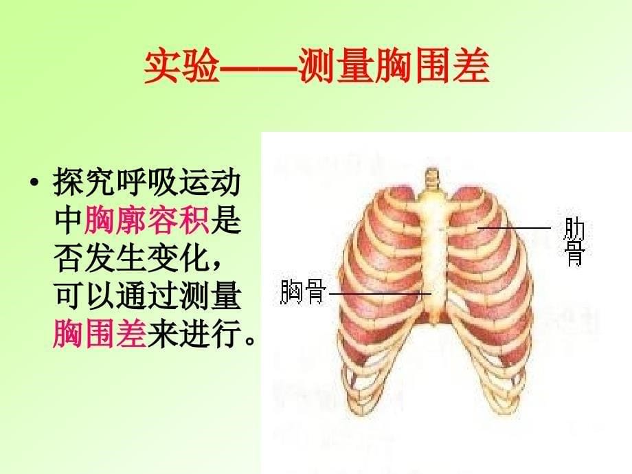 发生在肺内的气体交换_14_第5页