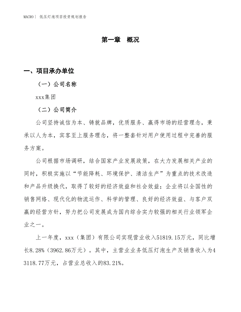 低压灯泡项目投资规划报告_第1页