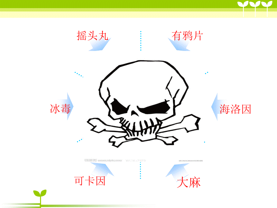 小学一年级禁毒_第3页