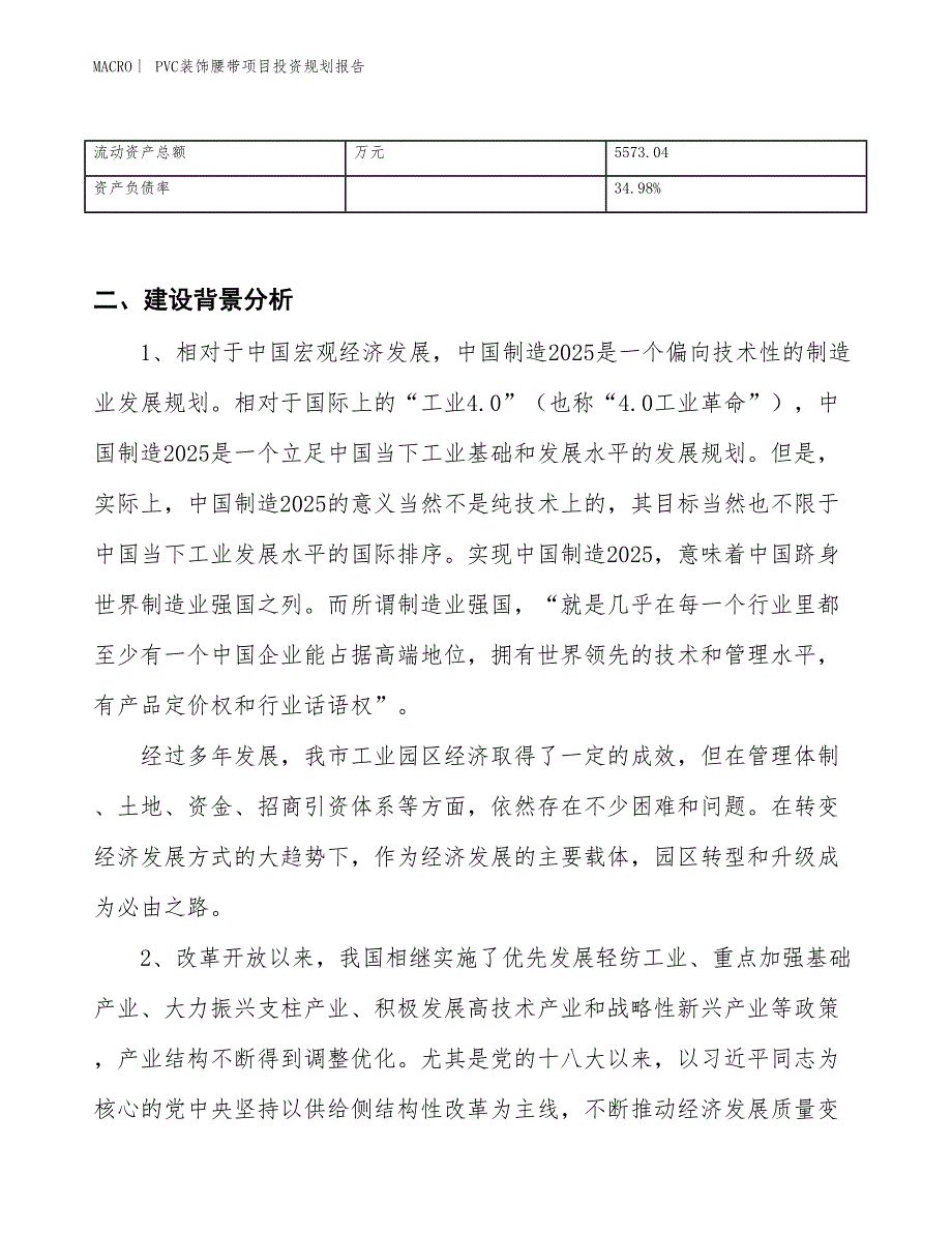 PVC装饰腰带项目投资规划报告_第3页