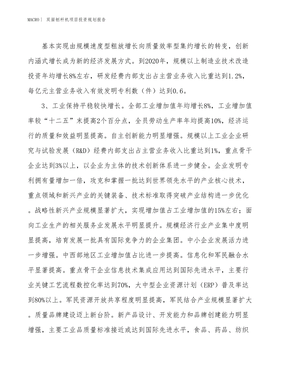 双面刨杆机项目投资规划报告_第4页