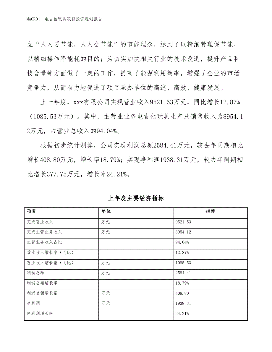 电吉他玩具项目投资规划报告_第2页