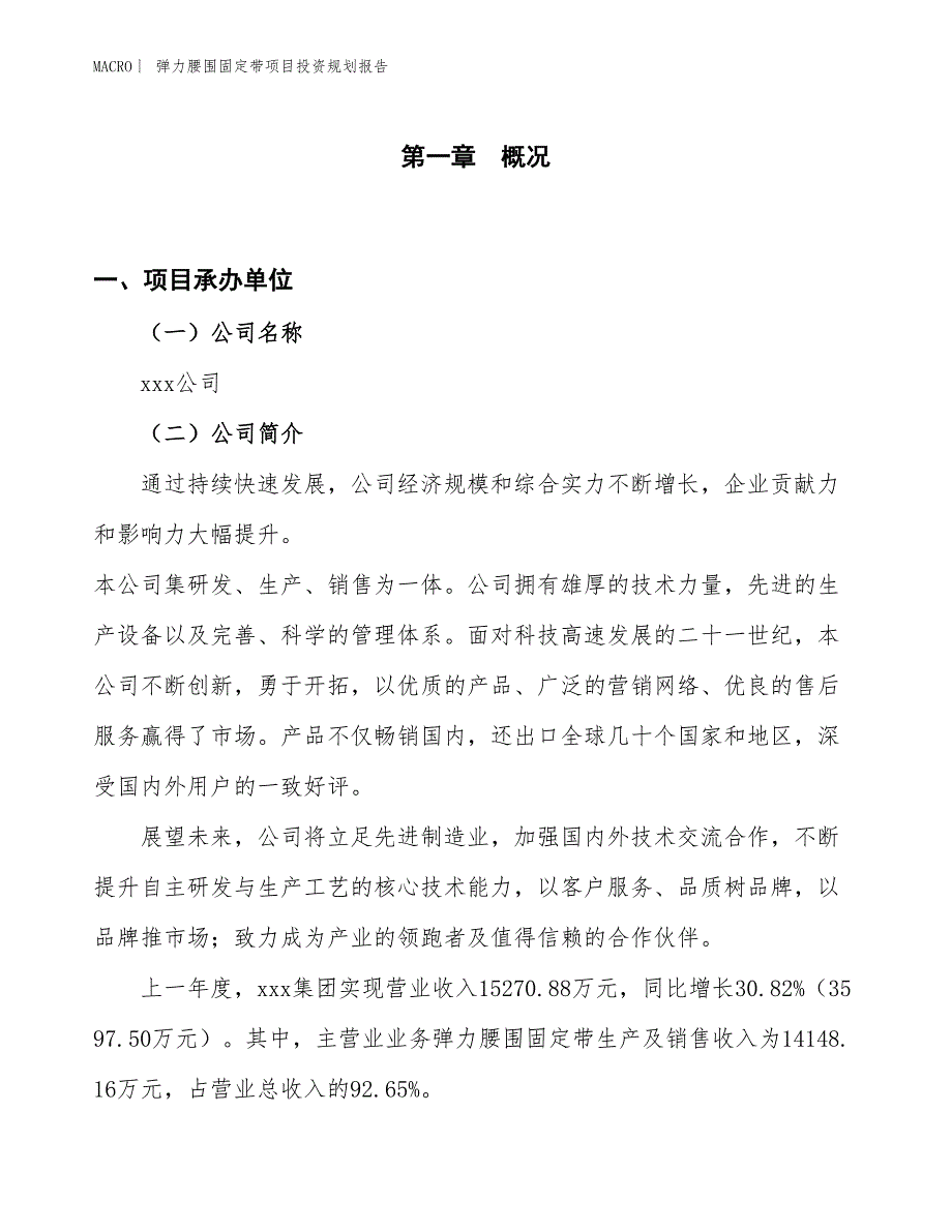 弹力腰围固定带项目投资规划报告_第1页