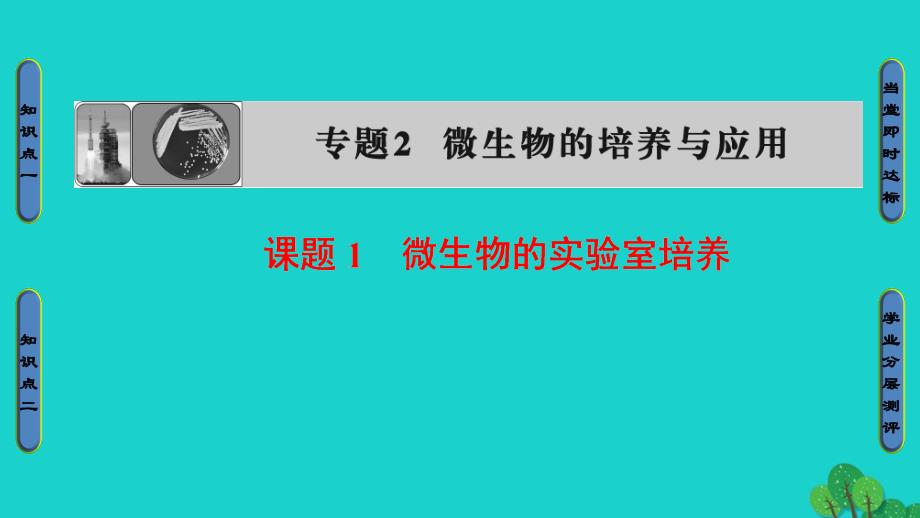 2016-2017学年高中生物专题2微生物的培养与应用课题1微生物的实验室培养课件_第1页